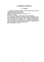 Biznesa plāns 'Biznesa plāns skolēnu mācību firmai "Nice"', 4.