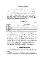 Biznesa plāns 'Biznesa plāns skolēnu mācību firmai "Nice"', 6.