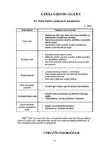 Biznesa plāns 'Biznesa plāns skolēnu mācību firmai "Nice"', 15.