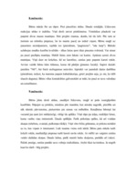 Referāts 'Zīdaiņu attīstība', 8.