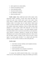 Referāts 'Zīdaiņu attīstība', 12.