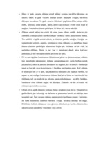 Referāts 'Zīdaiņu attīstība', 15.