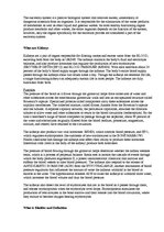 Prezentācija 'Excretory System', 15.