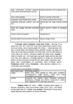 Konspekts 'Senā Krievzeme', 3.