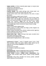 Konspekts 'Senā Krievzeme', 4.