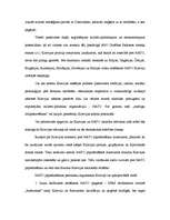 Referāts 'NATO un Krievijas attiecības', 6.