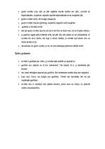 Konspekts 'Griba. P.Dāle - augstākā gudrība, Salamana pamācības un Ījaba grāmata', 4.