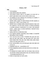 Konspekts 'Jēdziens "vide"', 1.