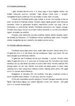 Referāts 'Senā Divupe - Priekšāzija', 8.