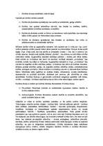 Konspekts 'Kultūras teorija', 1.