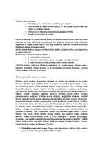 Konspekts 'Kultūras teorija', 3.