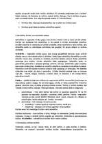 Konspekts 'Kultūras teorija', 5.