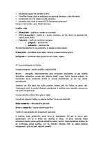 Konspekts 'Kultūras teorija', 25.