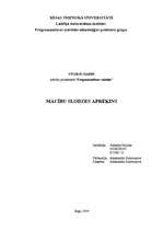 Referāts 'Mācību slodzes aprēķins', 1.