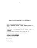 Referāts 'Vienotā Eiropas valūta - eiro', 17.