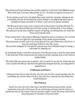 Referāts 'Roma', 6.