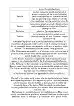 Referāts 'Roma', 15.