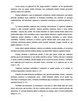 Referāts 'Karjeras attīstības iespējas organizācijā RP SIA "Rīgas satiksme"', 14.