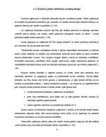 Referāts 'Karjeras attīstības iespējas organizācijā RP SIA "Rīgas satiksme"', 17.