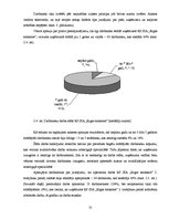 Referāts 'Karjeras attīstības iespējas organizācijā RP SIA "Rīgas satiksme"', 31.
