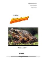 Referāts 'Abinieki', 1.