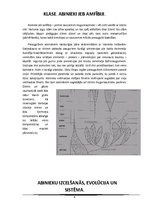 Referāts 'Abinieki', 4.