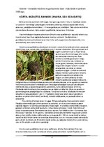 Referāts 'Abinieki', 8.