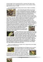 Referāts 'Abinieki', 9.