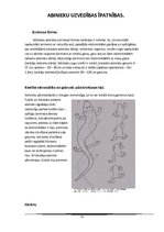 Referāts 'Abinieki', 13.