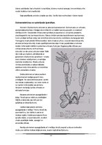 Referāts 'Abinieki', 21.