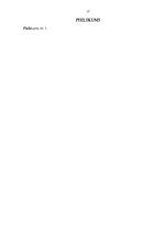 Referāts 'Meža īpašnieku tiesības un pienākumi', 17.