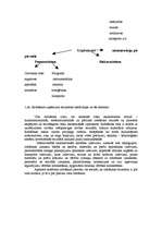 Konspekts 'Ražošana', 3.