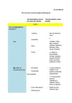 Konspekts 'Baltijas valstu tautsaimniecību salīdzinājums', 1.