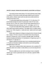 Konspekts 'Viesnīcu ieņēmumu struktūra', 10.