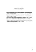 Konspekts 'Viesnīcu ieņēmumu struktūra', 12.