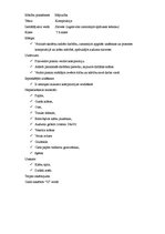 Konspekts 'Kompozīcija "Salvete"', 1.