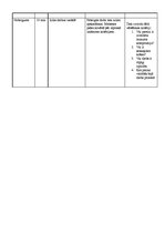 Konspekts 'Kompozīcija "Salvete"', 4.