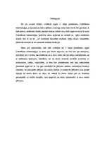 Referāts 'Domāšanas sistemoloģija', 6.