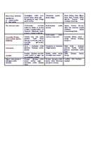 Konspekts 'Kontinentālās Eiropas tiesību loka galvenās pazīmes', 2.