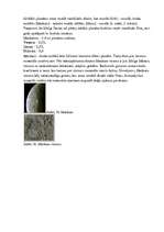 Konspekts 'Planētu uzbūve', 2.