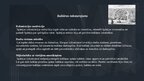 Prezentācija 'Spāņu un portugāļu kolonizācija Ziemeļamerikā un Dienvidamerikā ', 6.