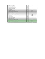 Prakses atskaite 'Finanšu analīzes prakses pārskats', 4.