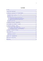 Prakses atskaite 'Finanšu analīzes prakses pārskats', 19.