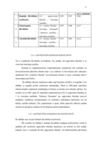 Prakses atskaite 'Finanšu analīzes prakses pārskats', 29.