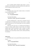 Prakses atskaite 'Finanšu analīzes prakses pārskats', 39.