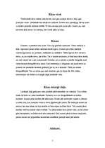 Referāts 'Mūsdienu kāzu tradīcijas', 5.