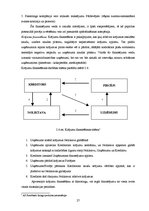 Diplomdarbs 'Apgrozāmo līdzekļu finansēšanas politika un pilnveidošanas iespējas ražošanas uz', 27.