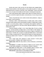 Referāts 'Debess ķermeņu ietekme uz Zemi un iedzīvotājiem (konkrēti Mēness ietekme)', 3.