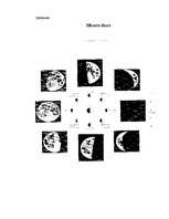 Referāts 'Debess ķermeņu ietekme uz Zemi un iedzīvotājiem (konkrēti Mēness ietekme)', 21.