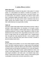 Referāts 'Lielbritānijas kultūra', 13.